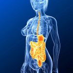 Colon irritabile cura: vari rimedi