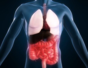 colite ulcerosa differenze con il morbo di Crohn